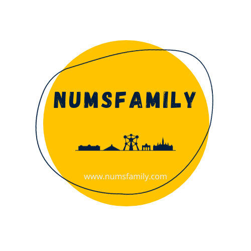 La NumsFamily - 2 mamans instit, 8 enfants : Une famille nombreuse à Bruxelles