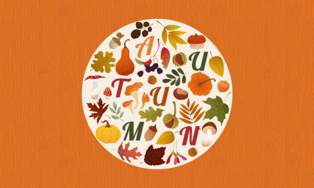 Nos activités préférées pour profiter de l’automne en famille : idées simples et cosy